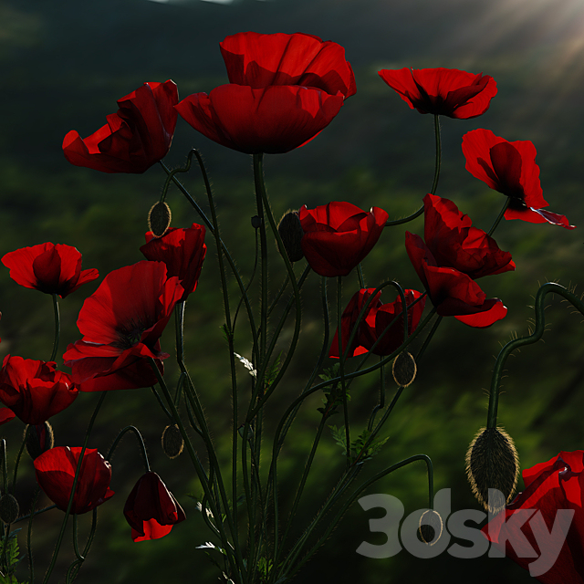 Field Poppies in a Vase 3ds Max - thumbnail 2