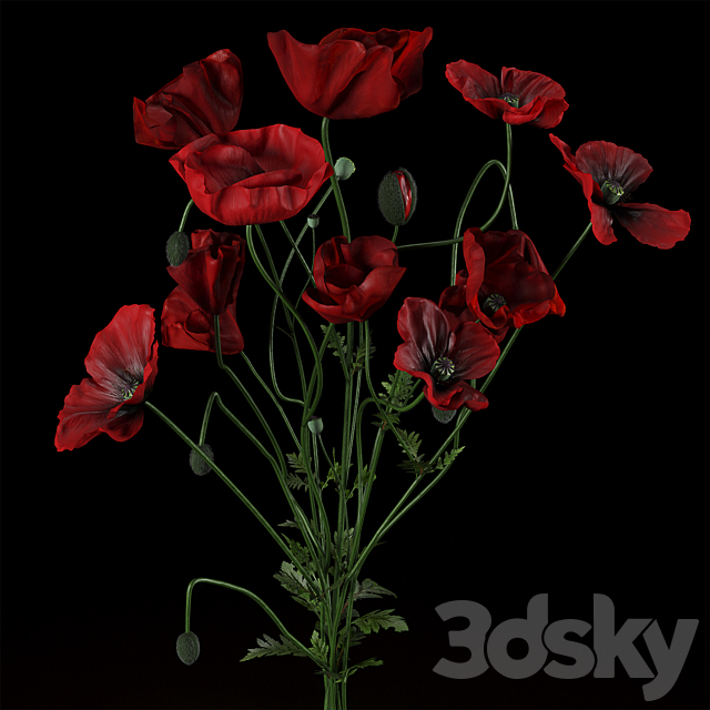 Field Poppies in a Vase 3ds Max - thumbnail 3