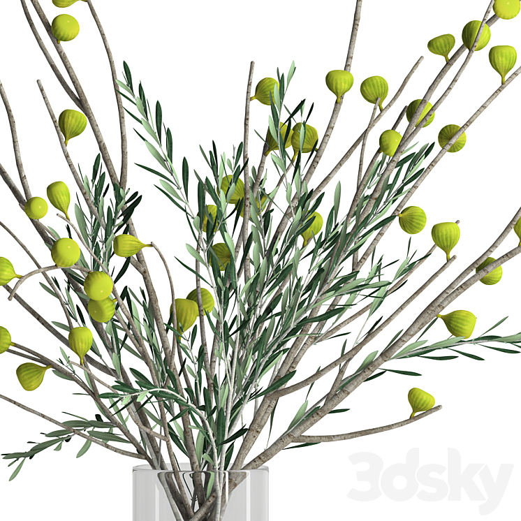 Fig and olive branches 3DS Max Model - thumbnail 2