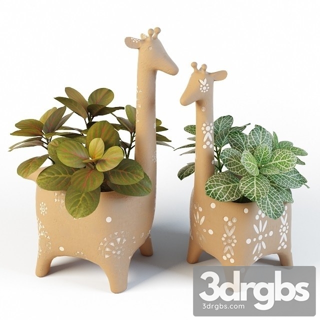 Fittonia Giraffe Pots 3dsmax Download - thumbnail 1