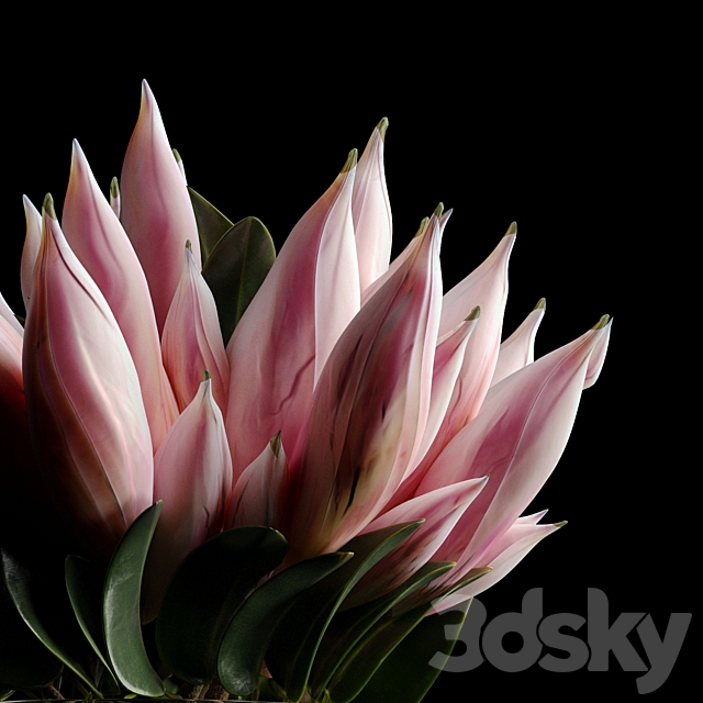 Flower 3ds Max - thumbnail 2