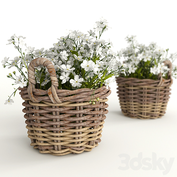 Flower baskets 3DS Max - thumbnail 1