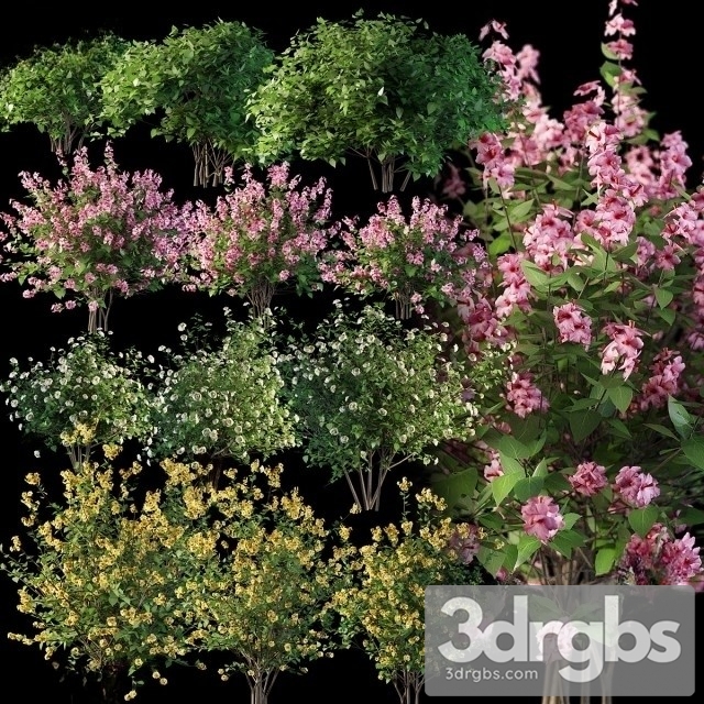 Flower Bouquet Set 3dsmax Download - thumbnail 1