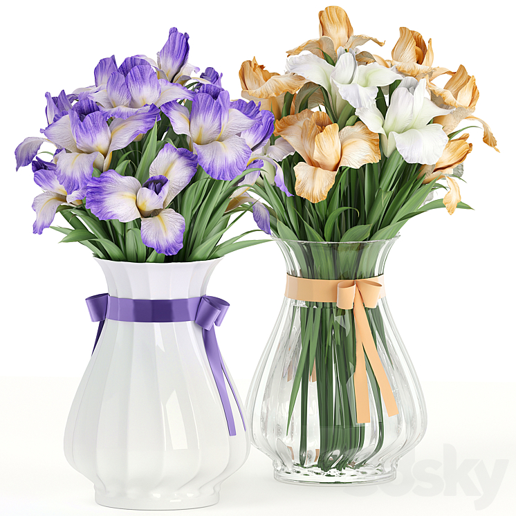 Flower Pack 249C IRIS 3DS Max - thumbnail 1