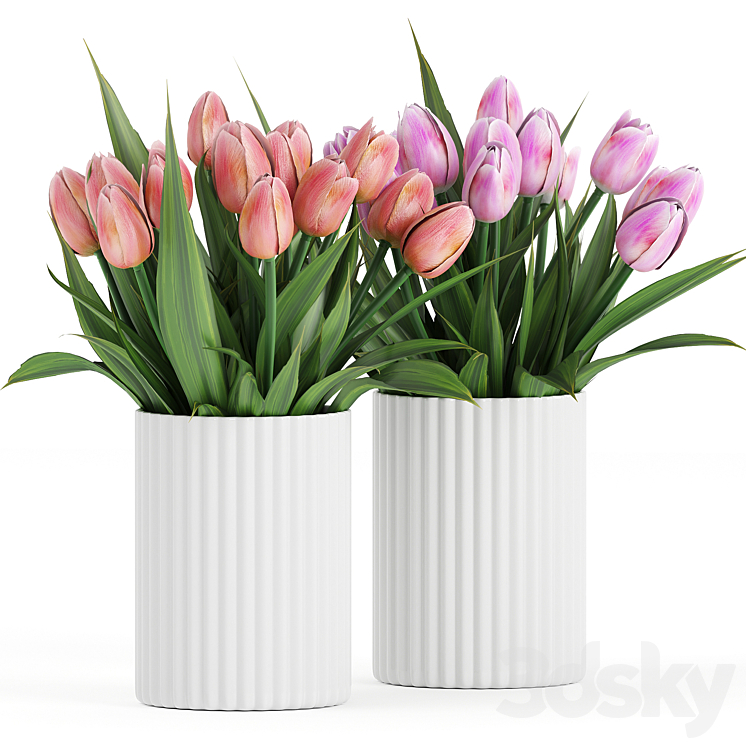 Flower Pack 250C Tulips 3DS Max Model - thumbnail 1