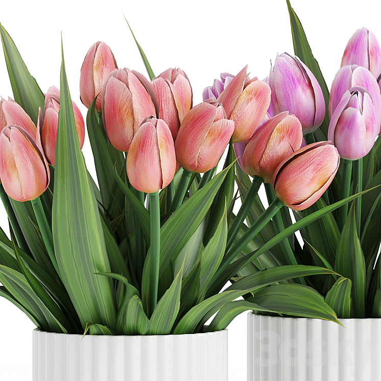 Flower Pack 250C Tulips 3DS Max Model - thumbnail 2