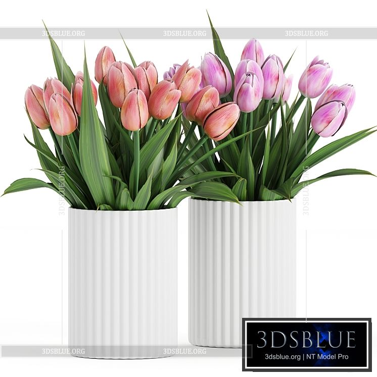 Flower Pack 250C Tulips 3DS Max - thumbnail 3