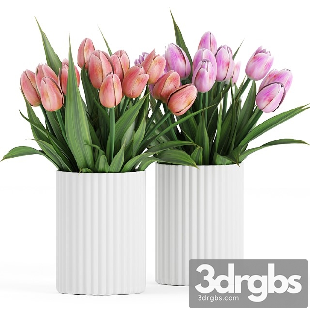 Flower Pack 250C Tulips 3dsmax Download - thumbnail 1