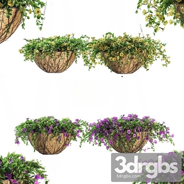 Flower Pot Chain Petunia 4 Models 3dsmax Download - thumbnail 1