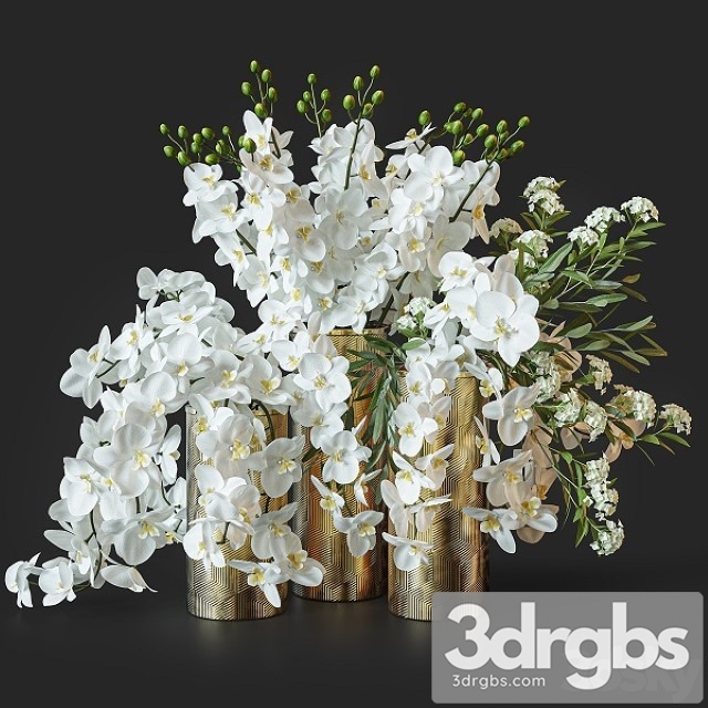 Flower Set 033 Orchids 3dsmax Download - thumbnail 1