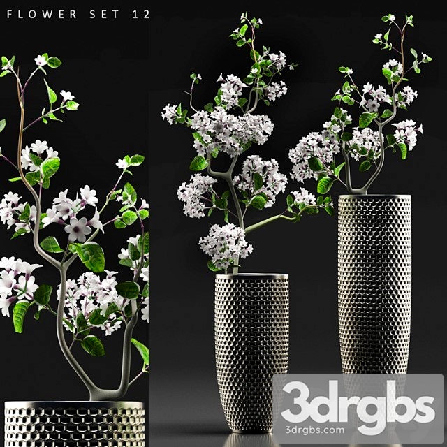 Flower Set 12 3dsmax Download - thumbnail 1