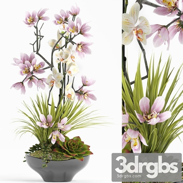 Flower Set 21 3dsmax Download - thumbnail 1