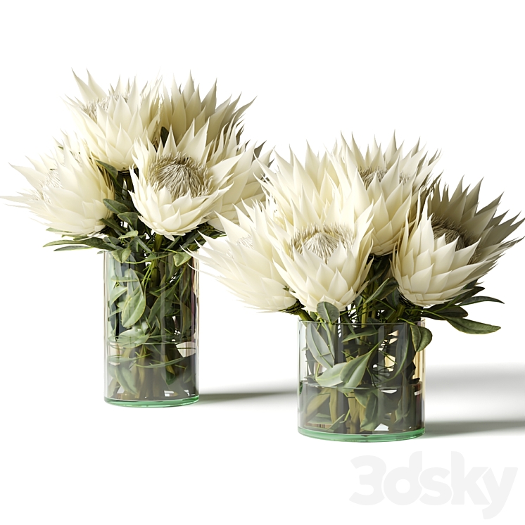 Flower Set white proteas 3DS Max Model - thumbnail 1