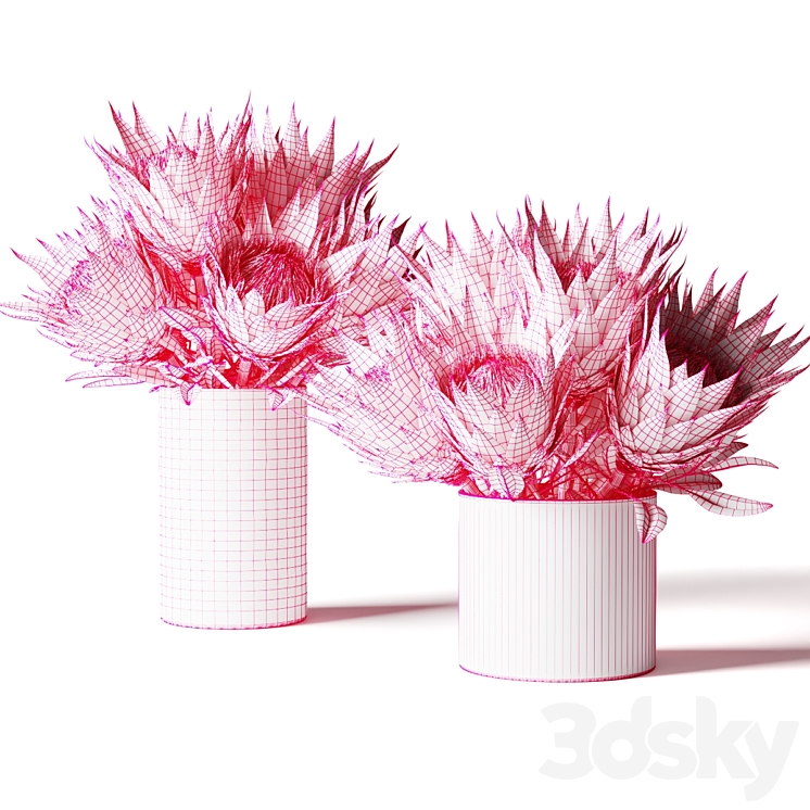 Flower Set white proteas 3DS Max Model - thumbnail 2