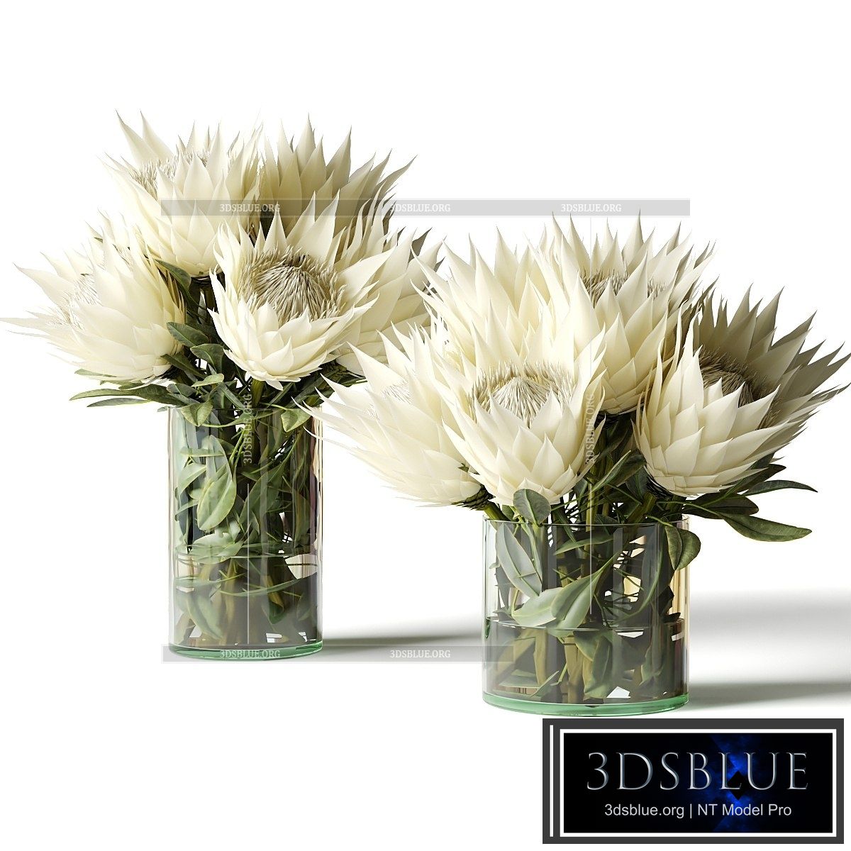 Flower Set white proteas 3DS Max - thumbnail 3