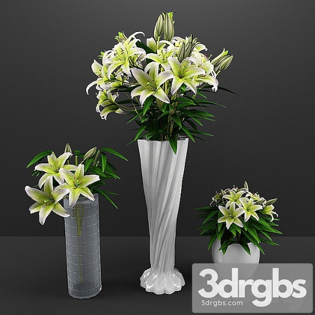 Flowers 40 3dsmax Download - thumbnail 1