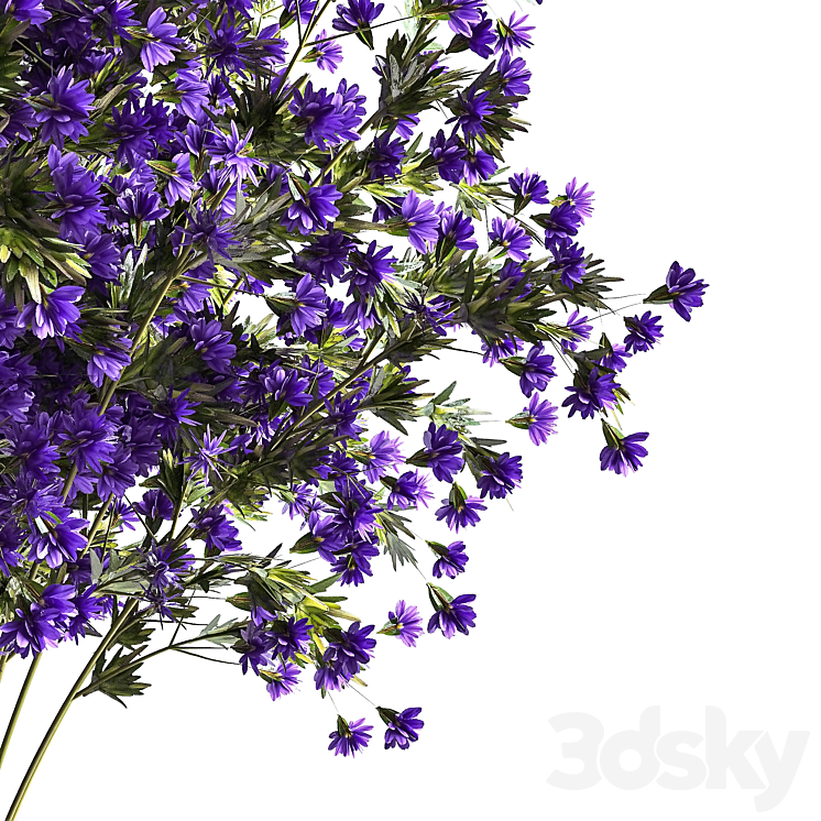 Flowers for decoration 3DS Max Model - thumbnail 2