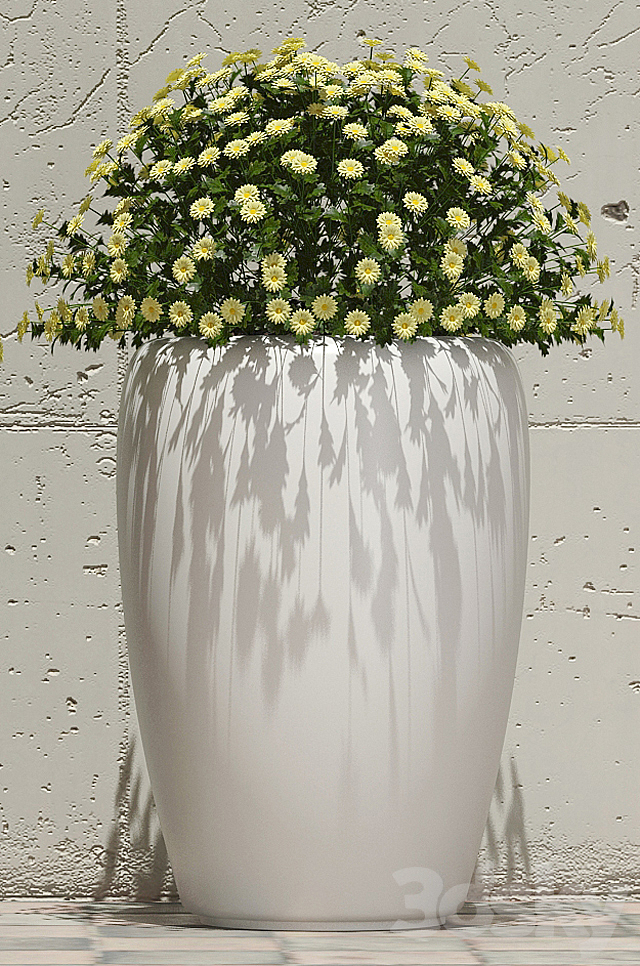 Flowers in pots 1 3ds Max - thumbnail 2