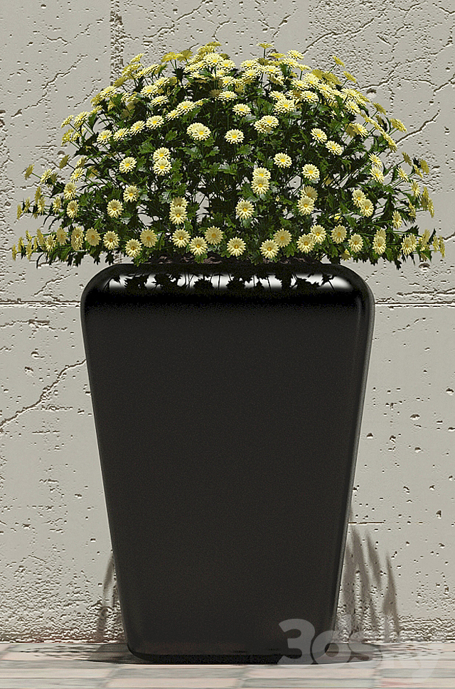 Flowers in pots 1 3ds Max - thumbnail 3