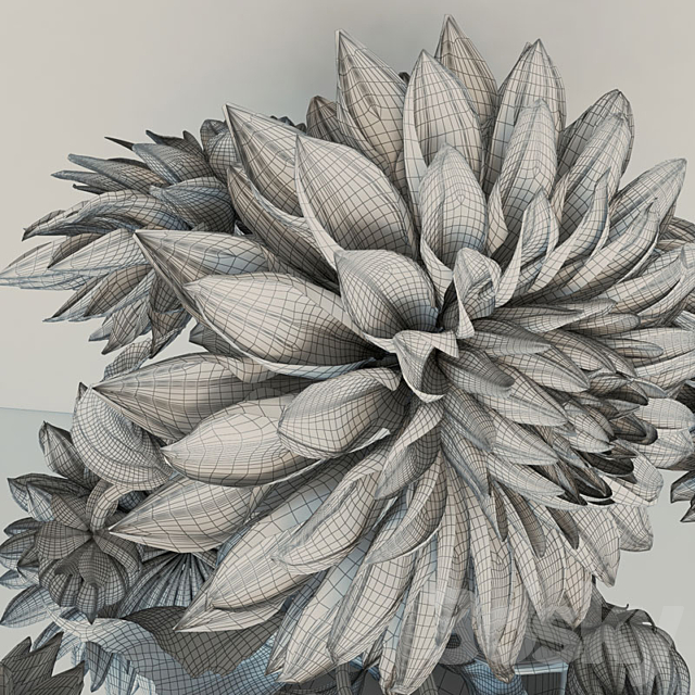 flowers_dahlias 3DSMax File - thumbnail 3