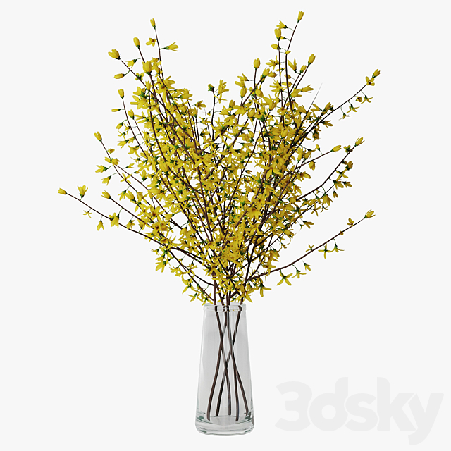 Forsythia 02 3ds Max - thumbnail 1