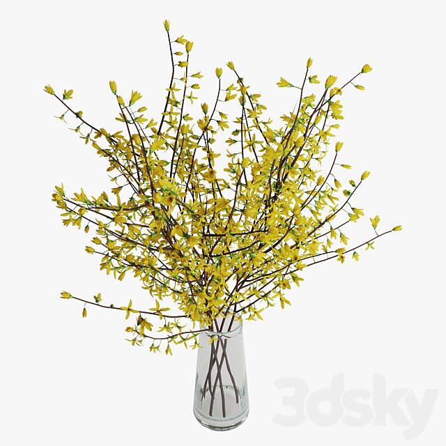 Forsythia 02 3ds Max - thumbnail 3