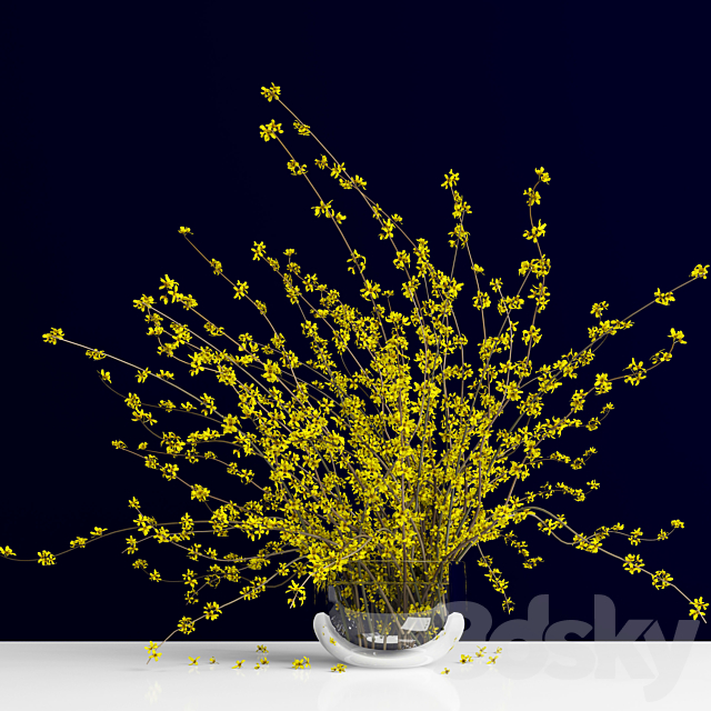 Forsythia _ Forsythia 3ds Max - thumbnail 1