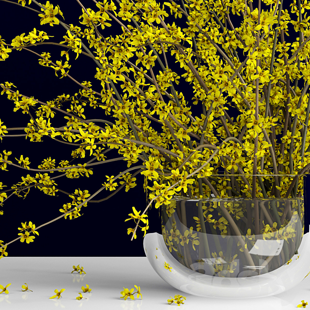 Forsythia _ Forsythia 3ds Max - thumbnail 2