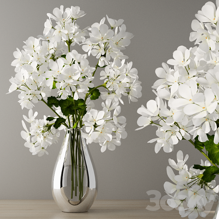 Geranium bouquet 3DS Max - thumbnail 1