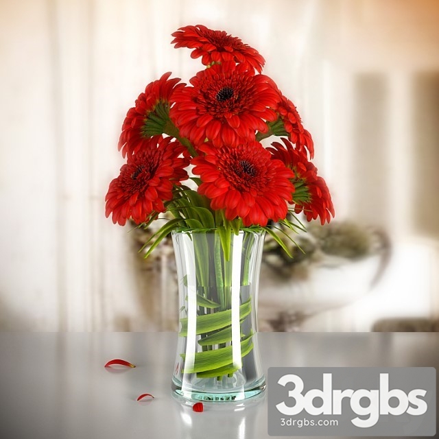 Gerbera 03 3dsmax Download - thumbnail 1