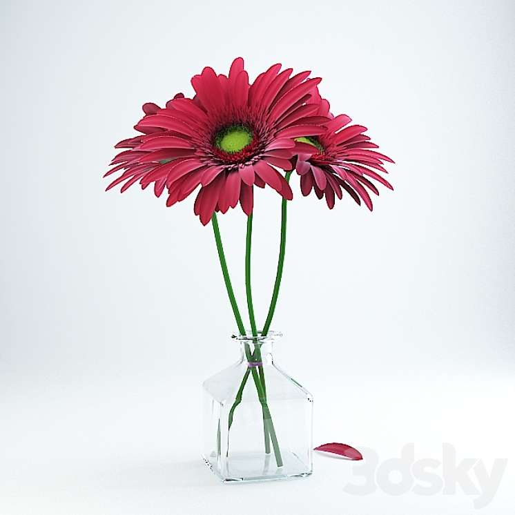 Gerbera 3DS Max - thumbnail 1