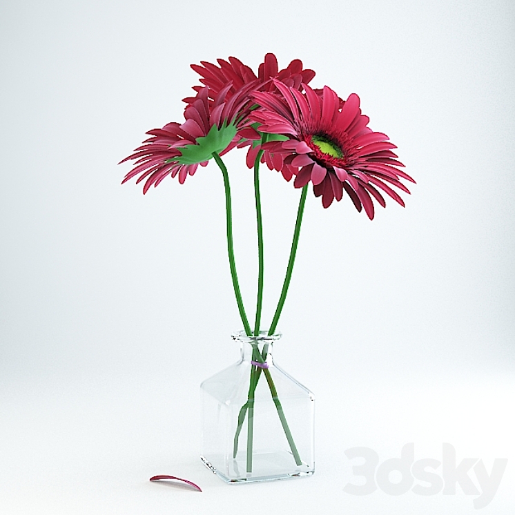 Gerbera 3DS Max - thumbnail 2