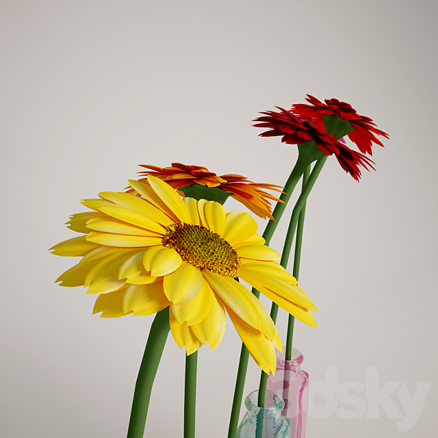 Gerbera 3DS Max Model - thumbnail 2