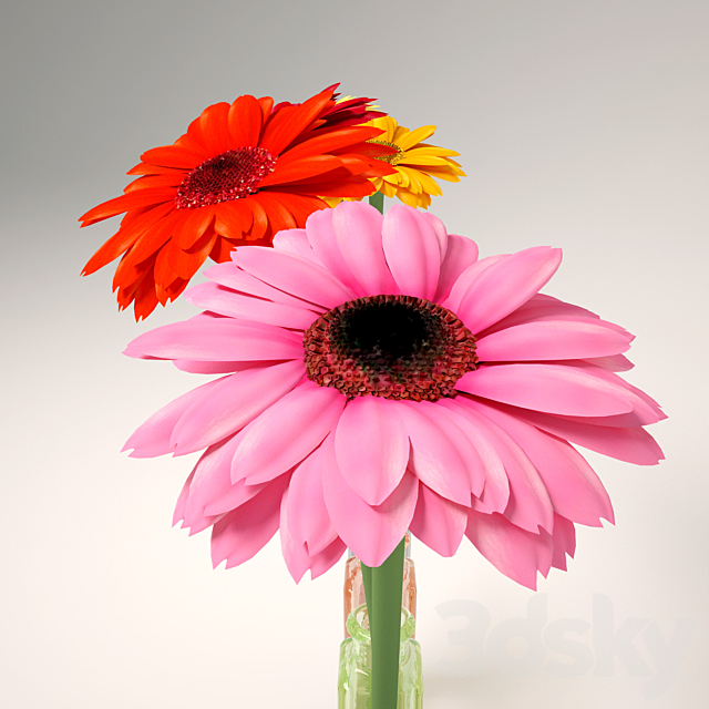 Gerbera 3DS Max Model - thumbnail 3