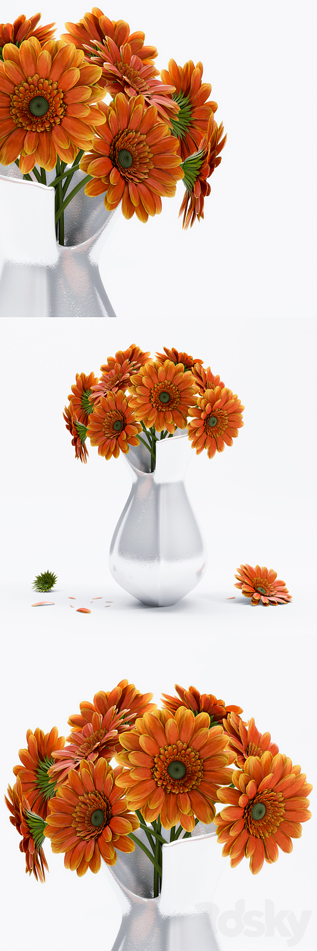 Gerbera Flower 3DSMax File - thumbnail 1