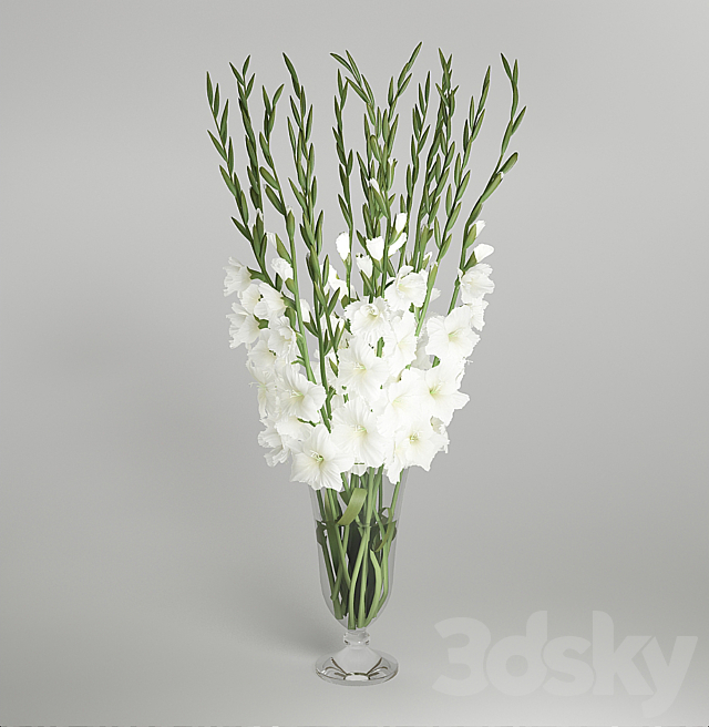 Gladiolus 3DS Max Model - thumbnail 2