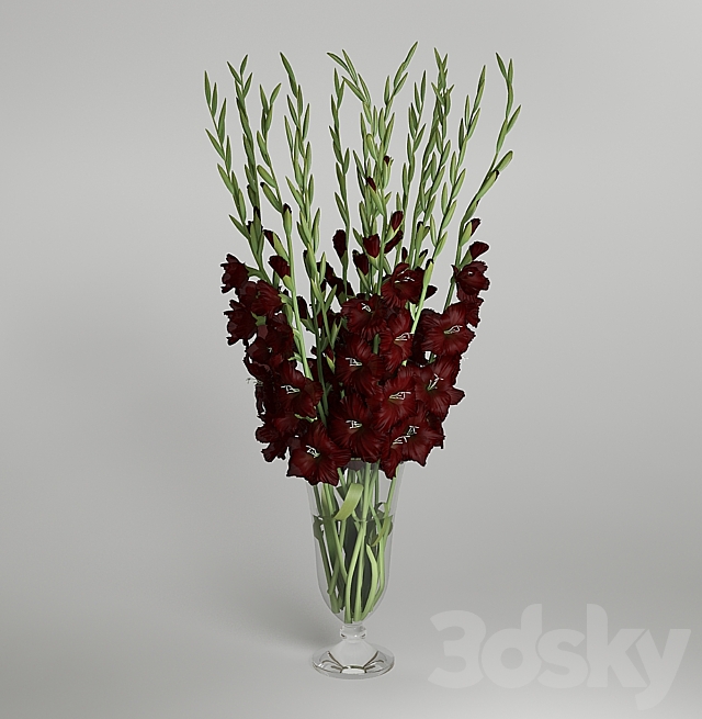 Gladiolus 3DS Max Model - thumbnail 3