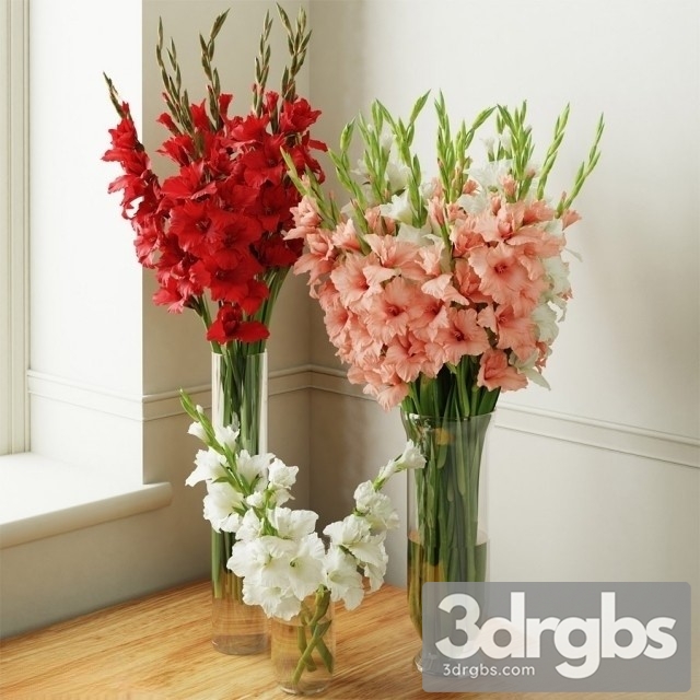 Gladiolus Bouquet 2 3dsmax Download - thumbnail 1