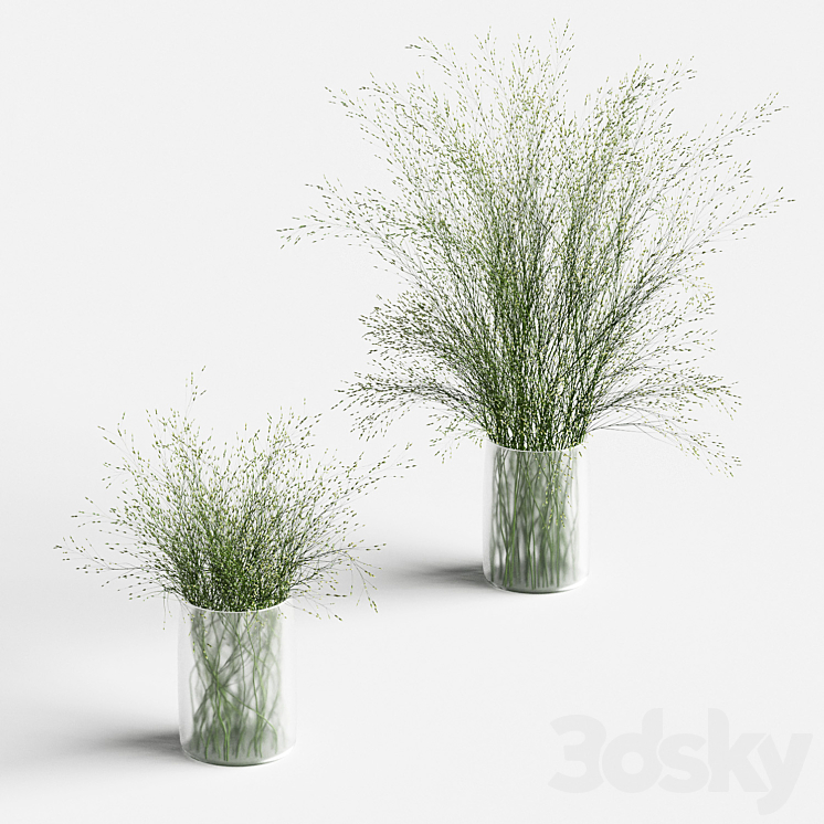 Grass in vases 2 3DS Max - thumbnail 1