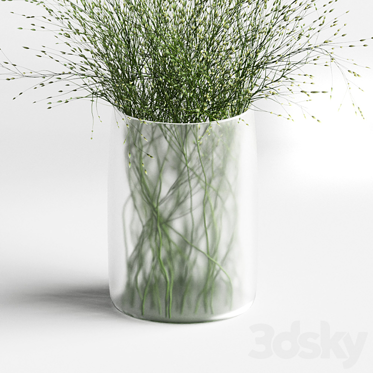Grass in vases 2 3DS Max - thumbnail 2
