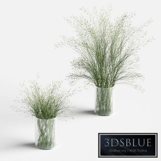 Grass in vases 2 3DS Max - thumbnail 3