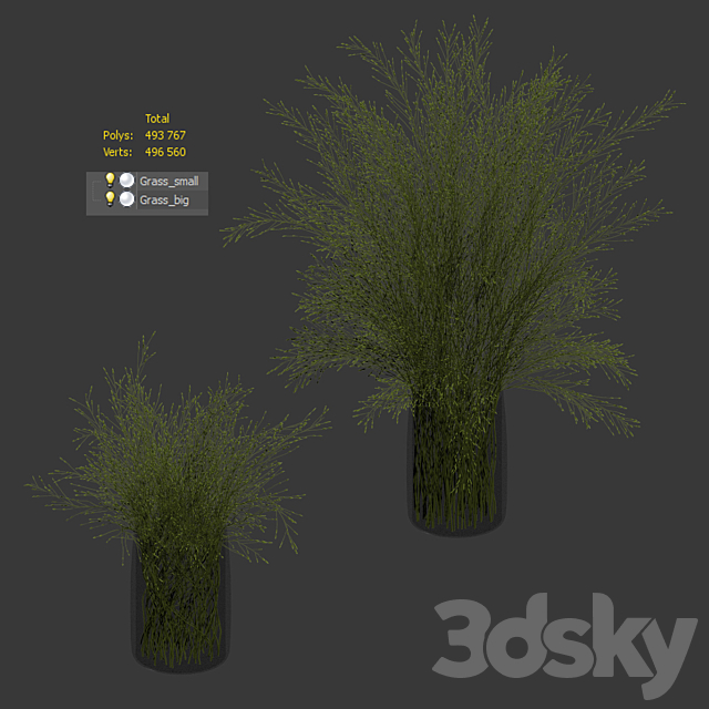 Grass in vases 2 3DSMax File - thumbnail 3