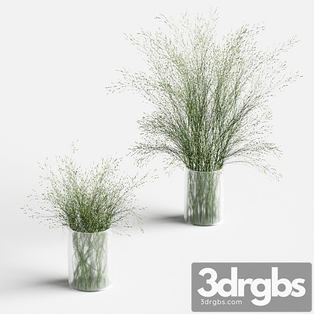 Grass in vases 2 - thumbnail 1