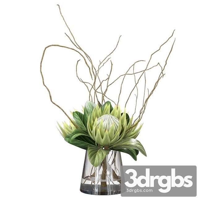 Green Bouquet With Protea 3dsmax Download - thumbnail 1