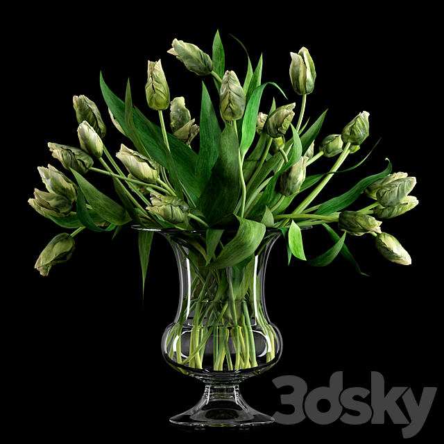 Green Parrot Tulips 3DSMax File - thumbnail 1