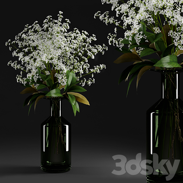 Gypsophila and magnolia leaves in bottle 3DS Max Model - thumbnail 1