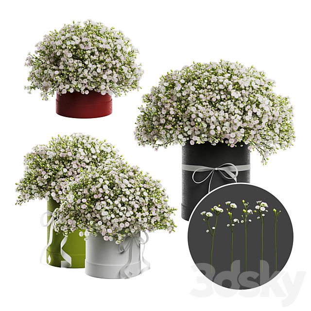 Gypsophila bouquet in a hat box 3ds Max - thumbnail 1