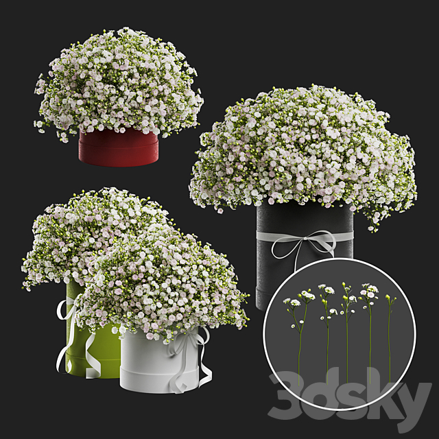 Gypsophila bouquet in a hat box 3ds Max - thumbnail 2