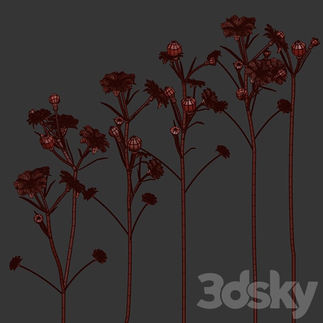 Gypsophila bouquet in a hat box 3ds Max - thumbnail 3