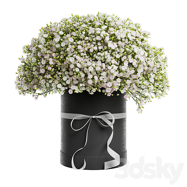 Gypsophila bouquet in a hat box 3DS Max Model - thumbnail 4